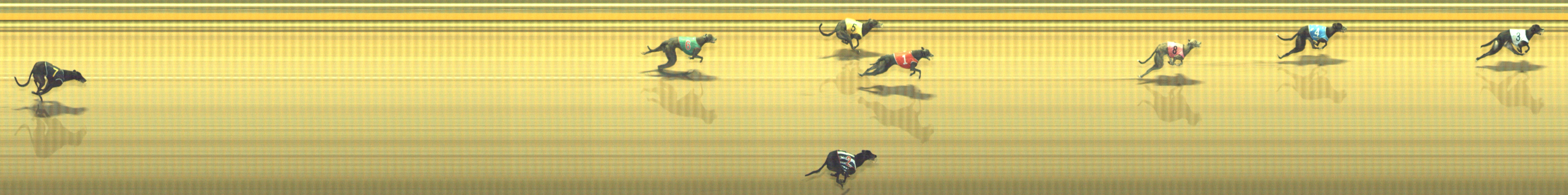 Photo finish for Geelong Race 11