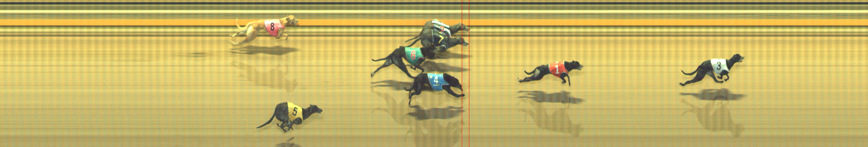 Photo finish for Geelong Race 12