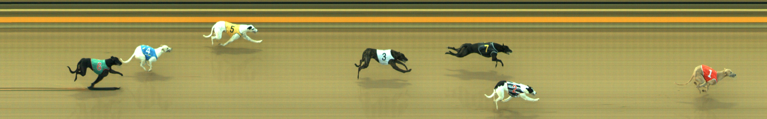 Photo finish for Geelong Race 1