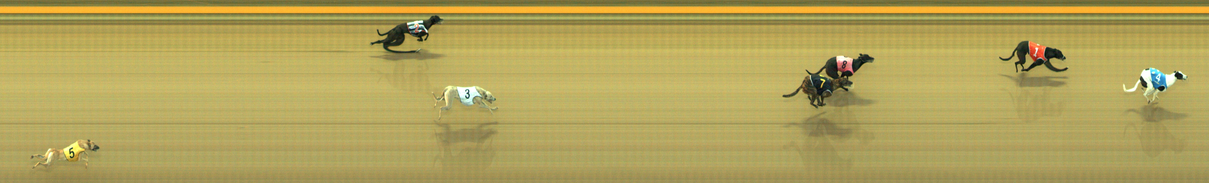 Photo finish for Geelong Race 2