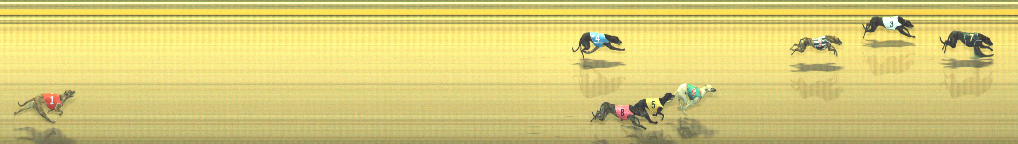 Photo finish for Geelong Race 3