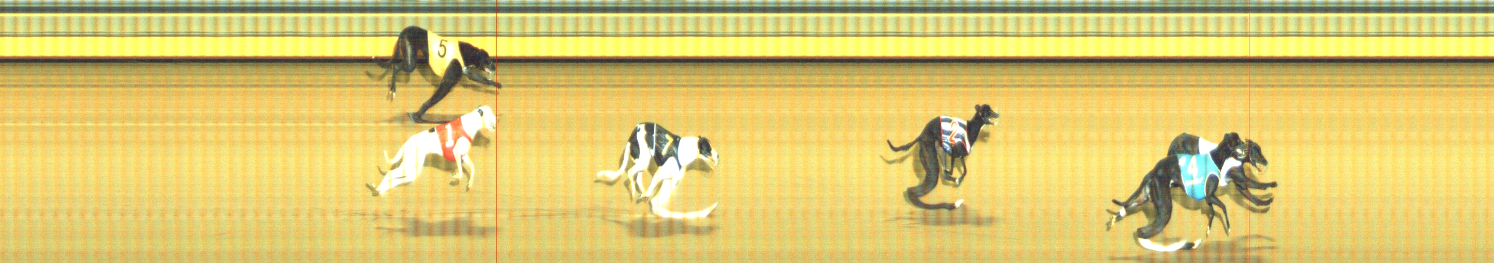 Photo finish for Geelong Race 4
