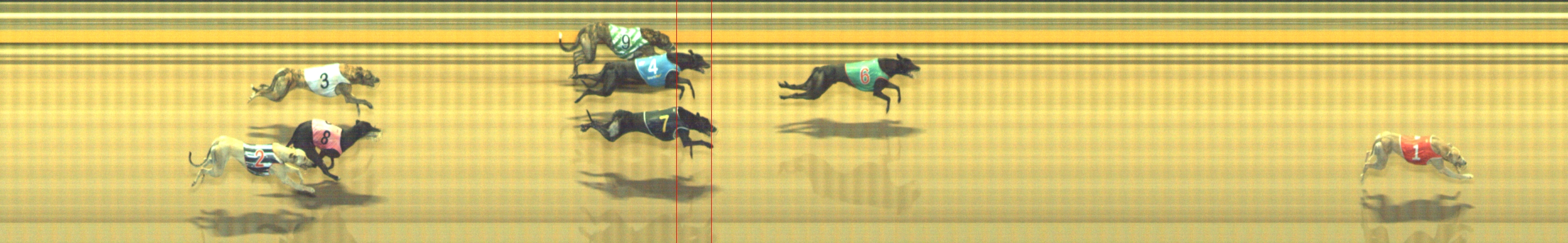 Photo finish for Geelong Race 5