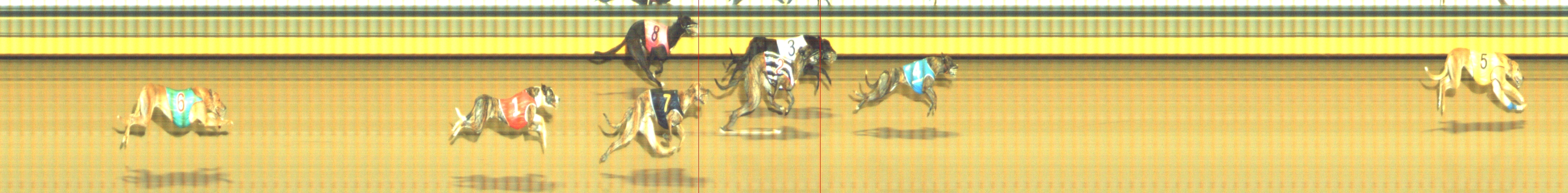 Photo finish for Geelong Race 6