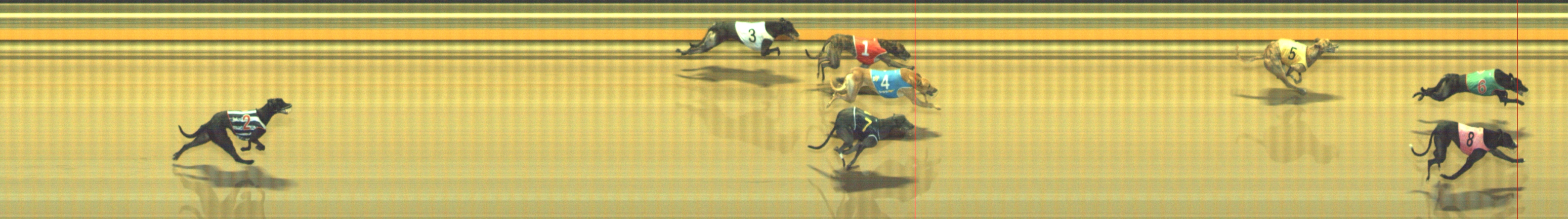 Photo finish for Geelong Race 7