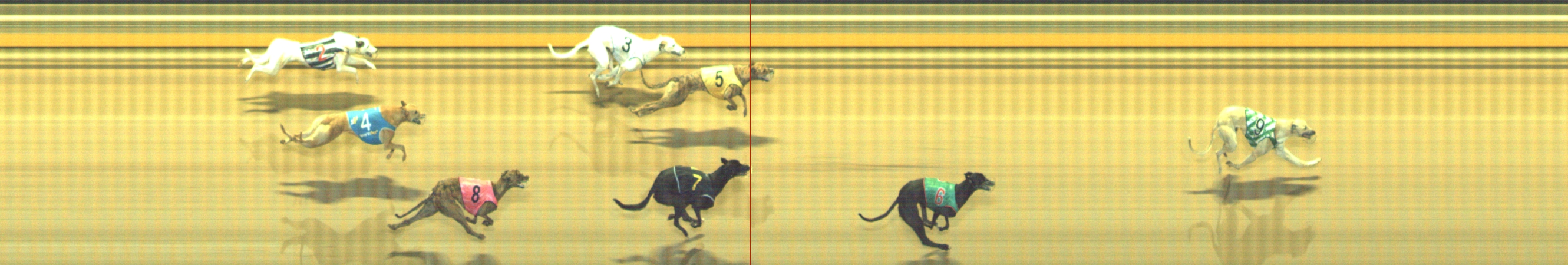 Photo finish for Geelong Race 8