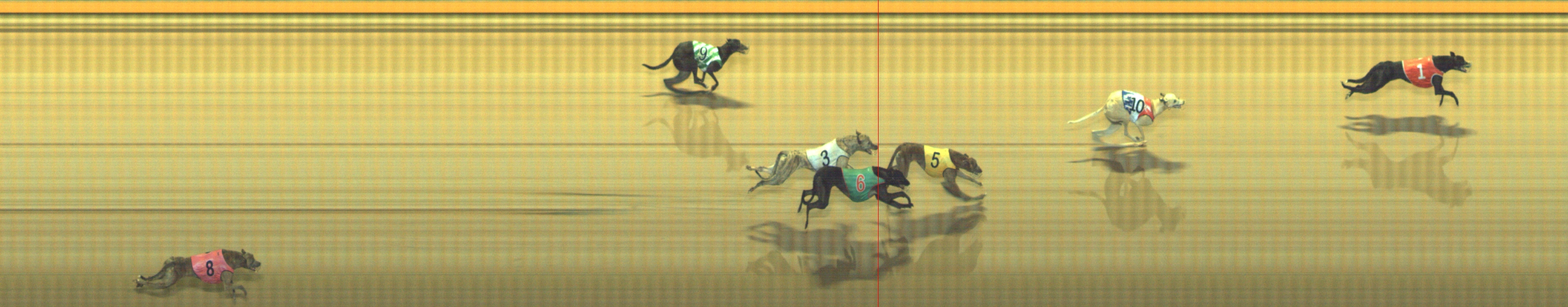 Photo finish for Geelong Race 9