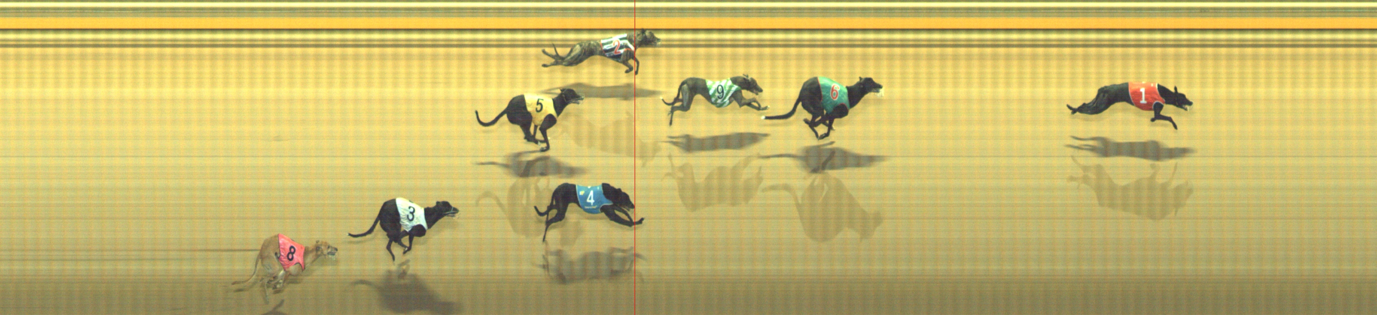 Photo finish for Geelong Race 10