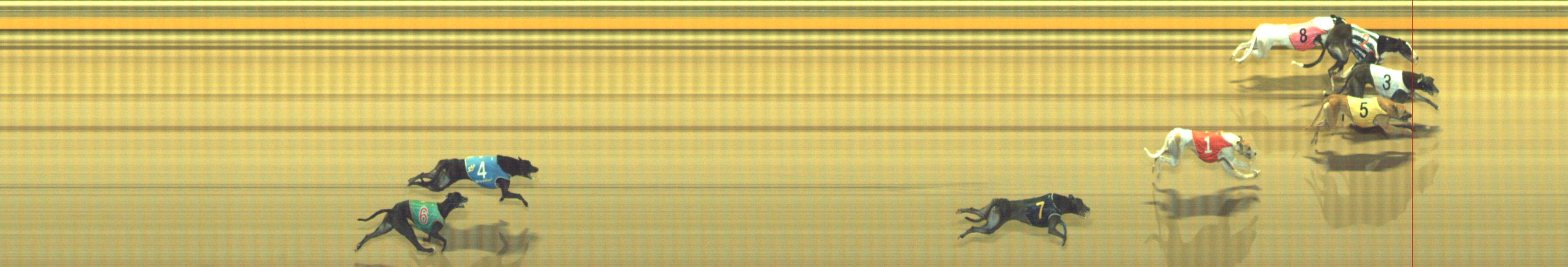 Photo finish for Geelong Race 12