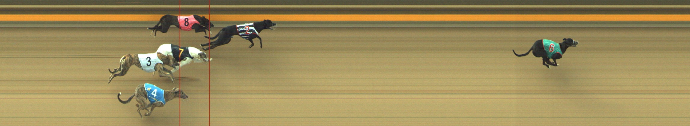 Photo finish for Geelong Race 1