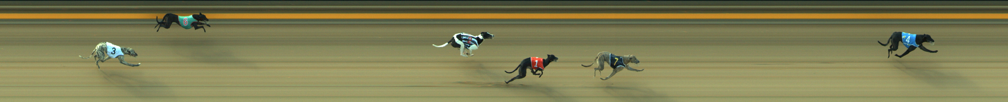Photo finish for Geelong Race 2