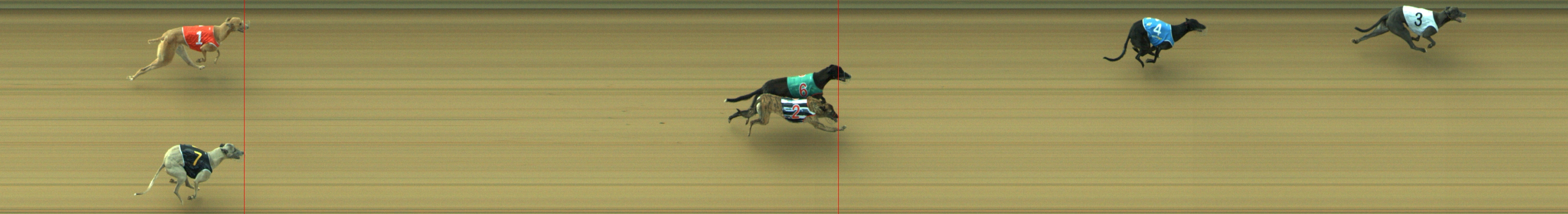 Photo finish for Geelong Race 3