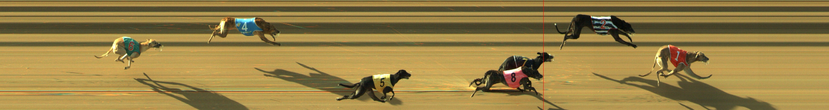 Photo finish for Geelong Race 4