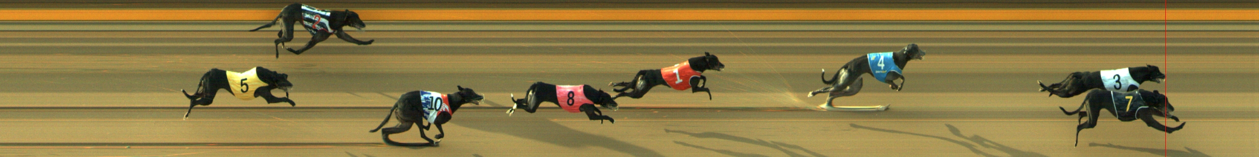 Photo finish for Geelong Race 5