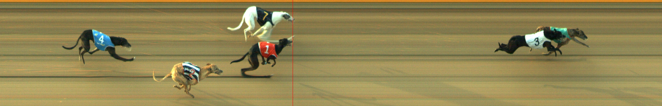 Photo finish for Geelong Race 6