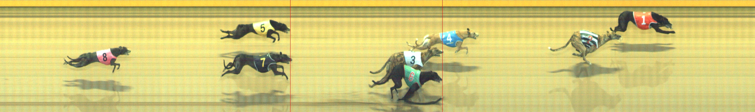 Photo finish for Geelong Race 7