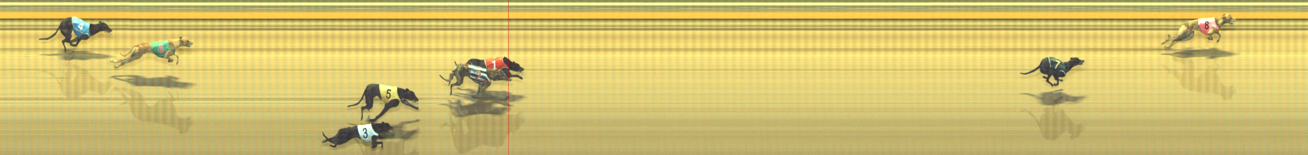 Photo finish for Geelong Race 9