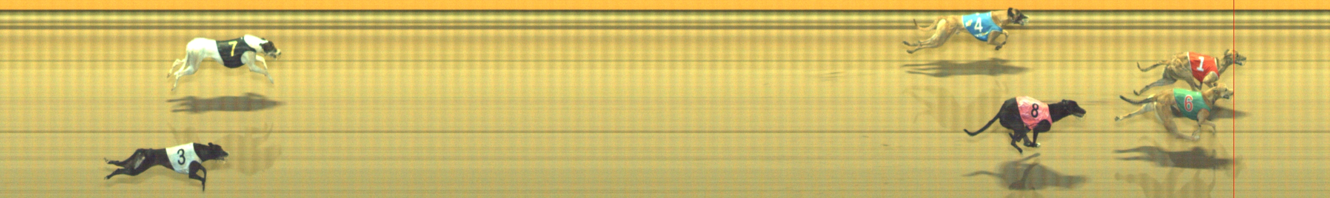 Photo finish for Geelong Race 11