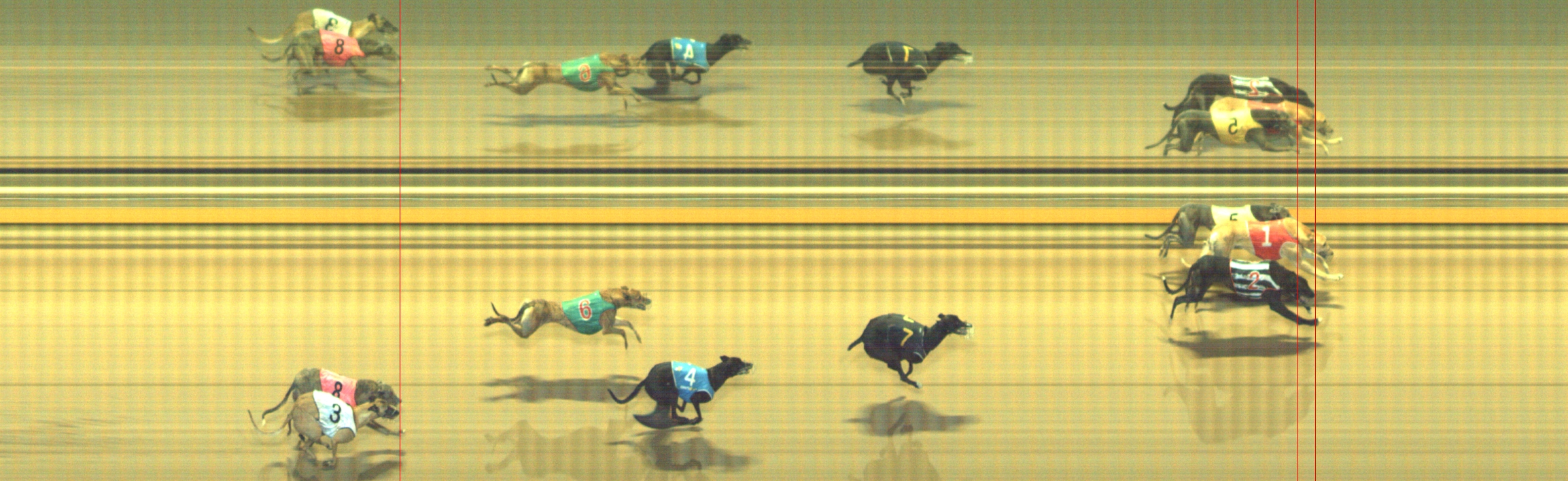 Photo finish for Geelong Race 12