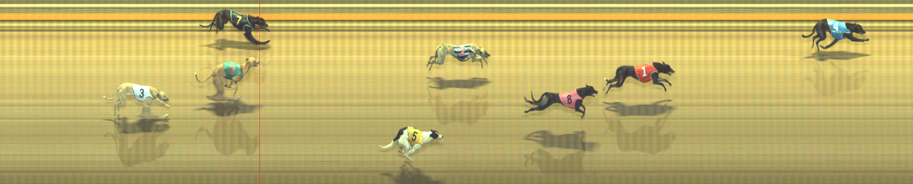 Photo finish for Geelong Race 1