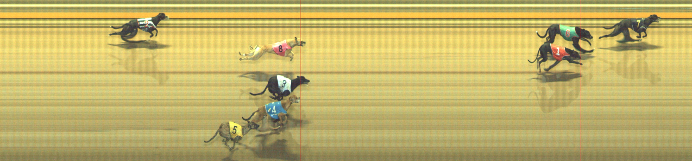 Photo finish for Geelong Race 2