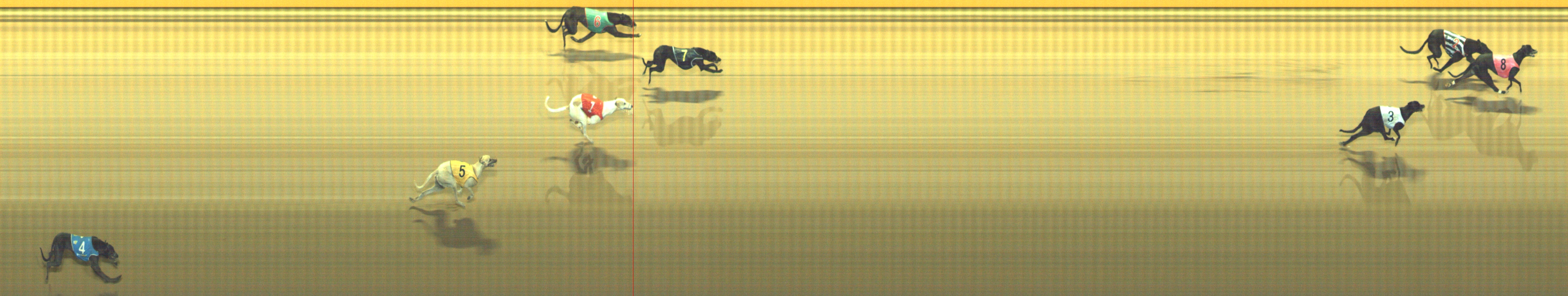 Photo finish for Geelong Race 4