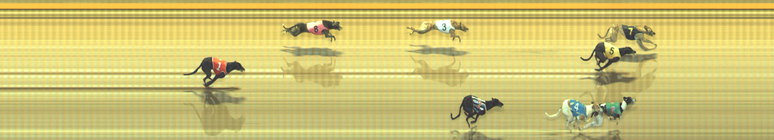 Photo finish for Geelong Race 5