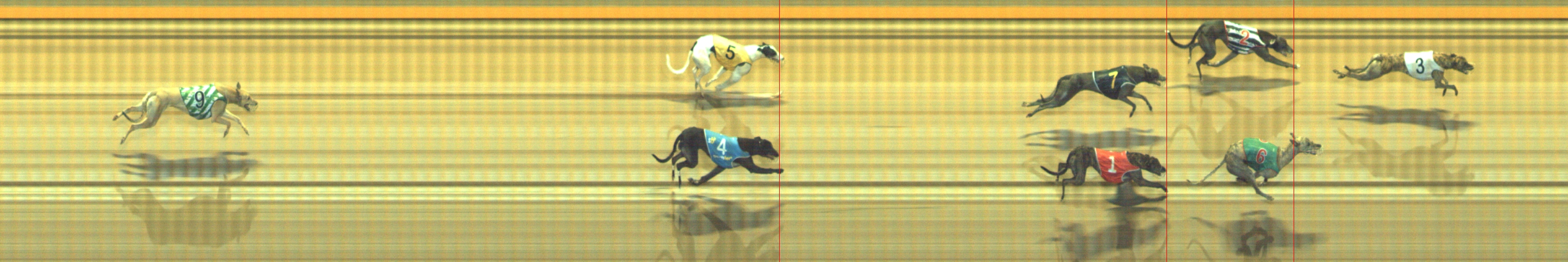 Photo finish for Geelong Race 6