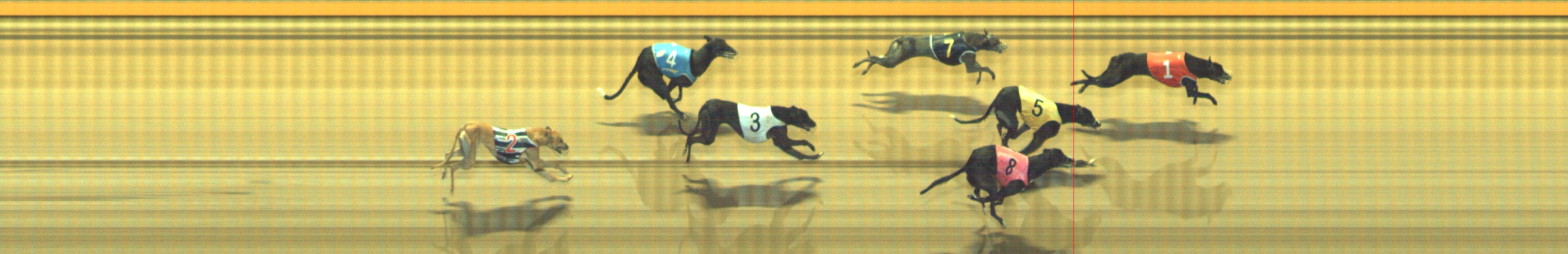 Photo finish for Geelong Race 8