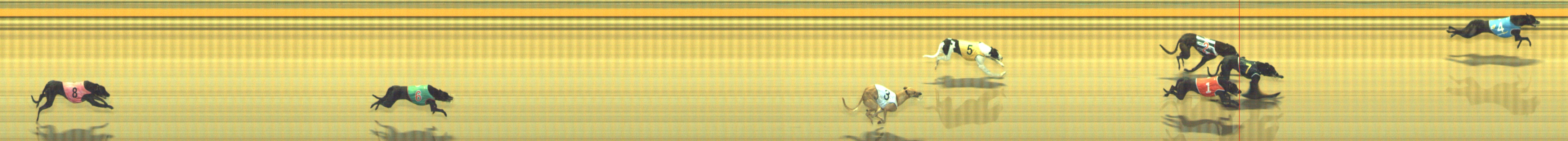 Photo finish for Geelong Race 9