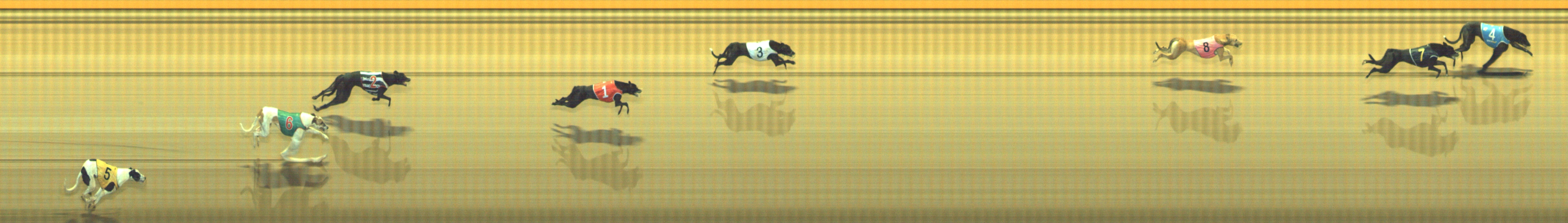 Photo finish for Geelong Race 11