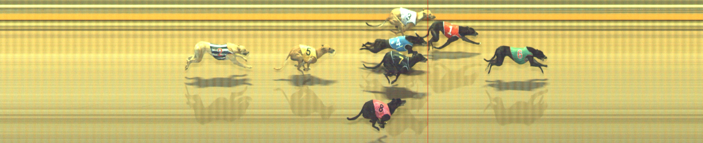 Photo finish for Geelong Race 12