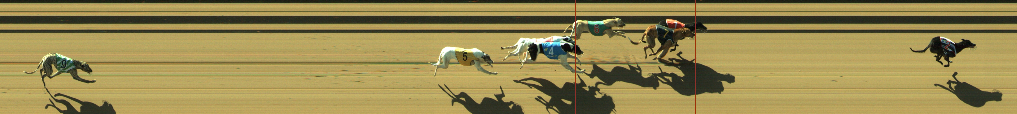 Photo finish for Geelong Race 1