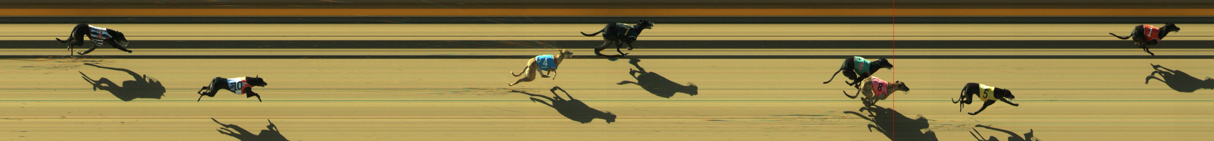Photo finish for Geelong Race 2