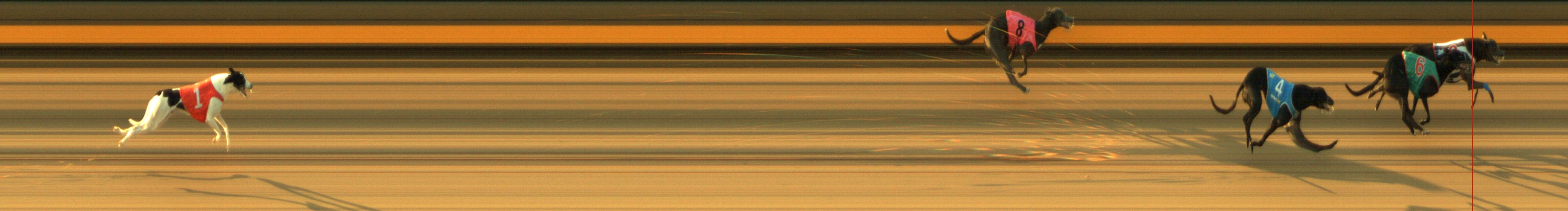 Photo finish for Geelong Race 7