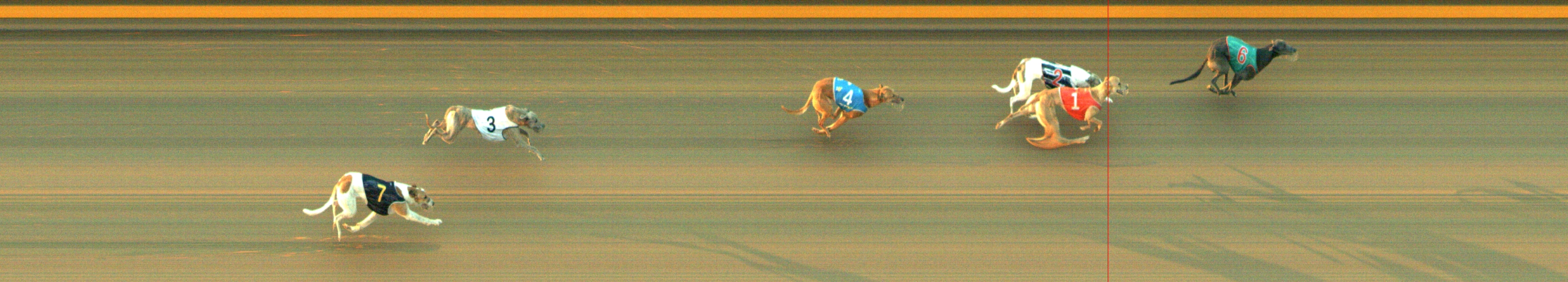 Photo finish for Geelong Race 8