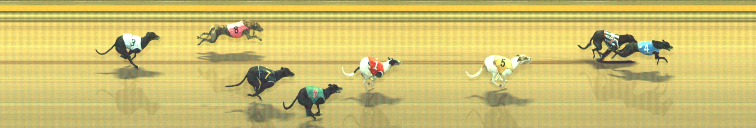 Photo finish for Geelong Race 9