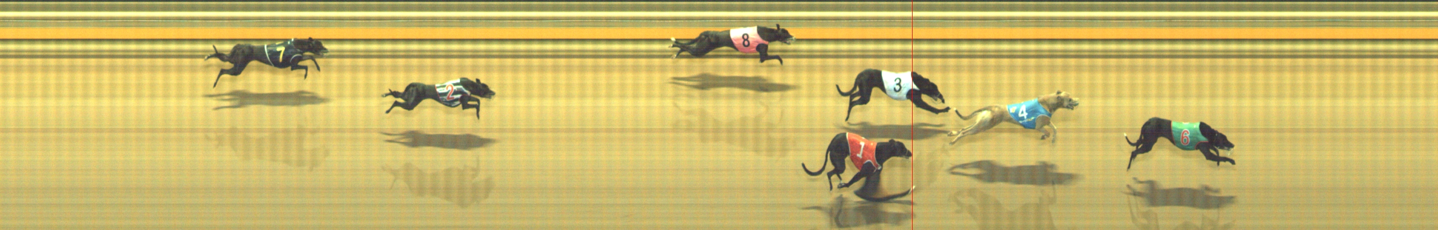 Photo finish for Geelong Race 10