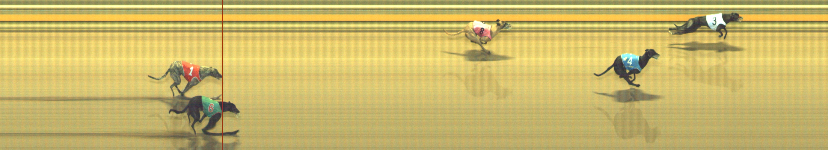 Photo finish for Geelong Race 11
