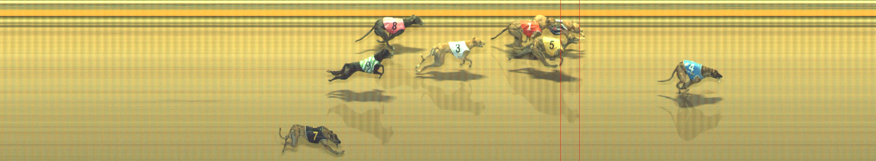Photo finish for Geelong Race 12