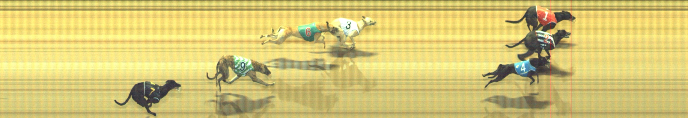 Photo finish for Geelong Race 2