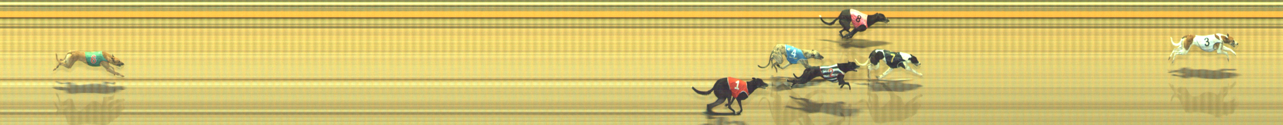 Photo finish for Geelong Race 3