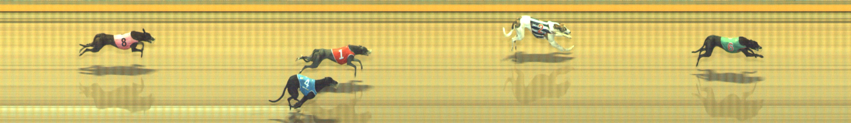 Photo finish for Geelong Race 4