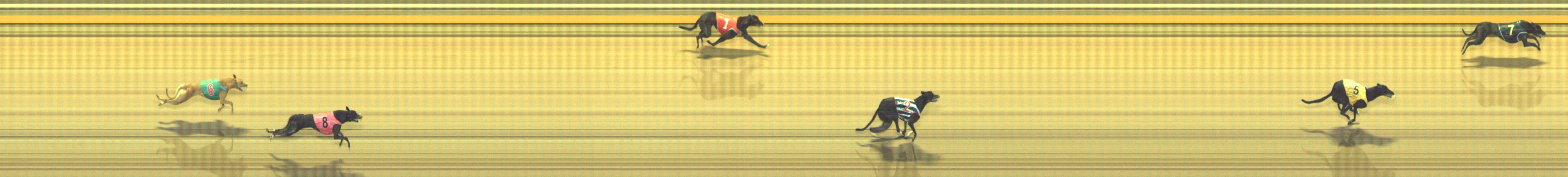 Photo finish for Geelong Race 5