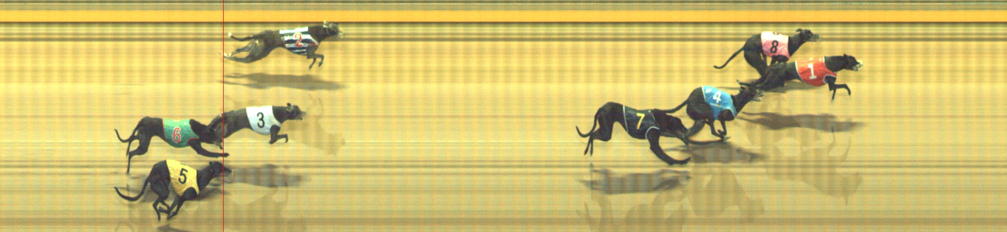 Photo finish for Geelong Race 7