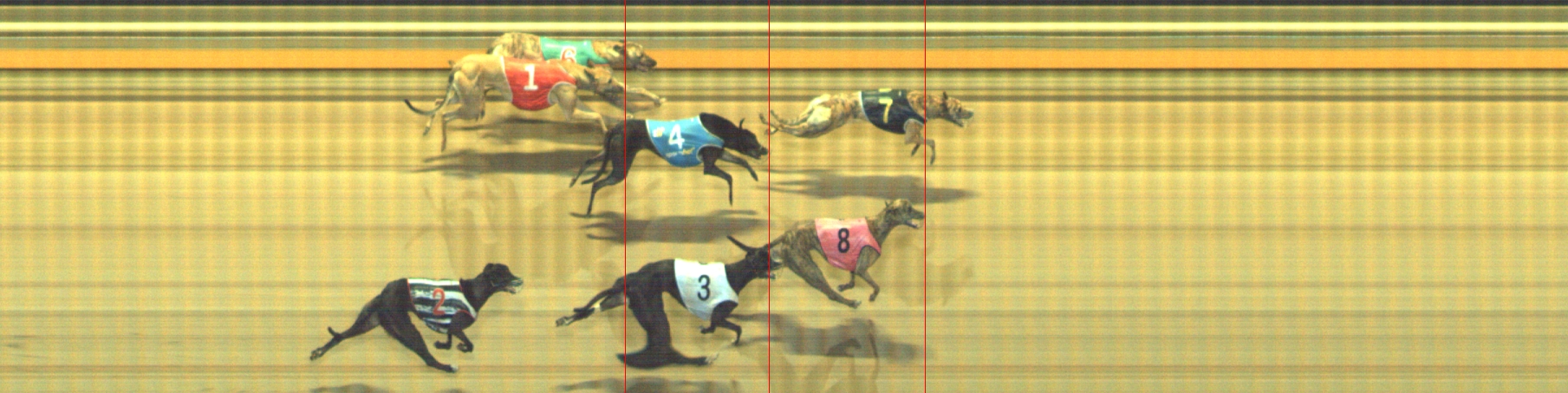 Photo finish for Geelong Race 8