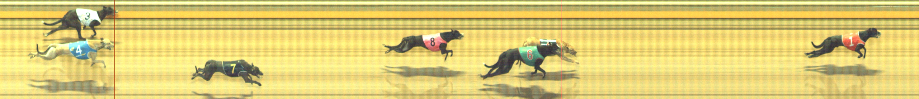 Photo finish for Geelong Race 9