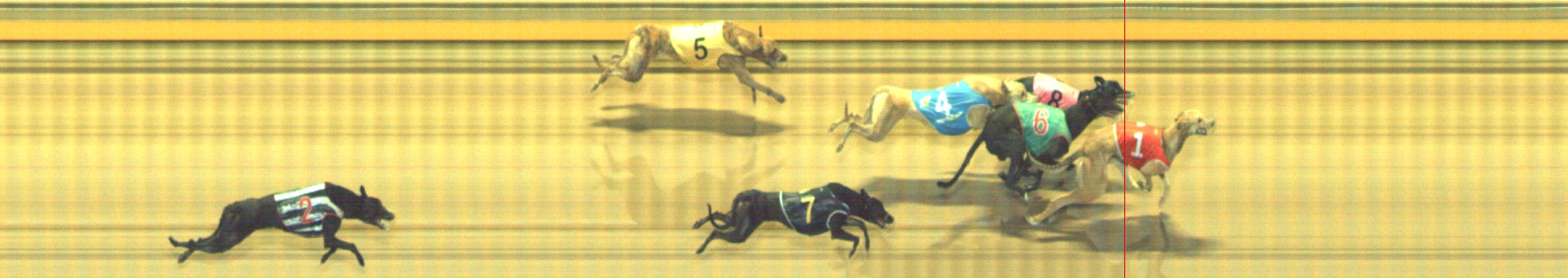 Photo finish for Geelong Race 10
