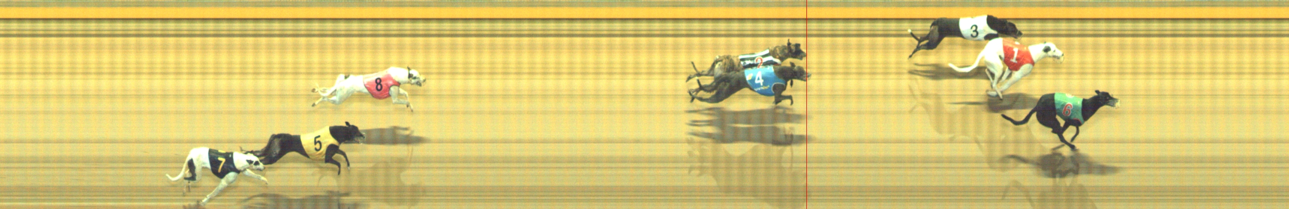 Photo finish for Geelong Race 11