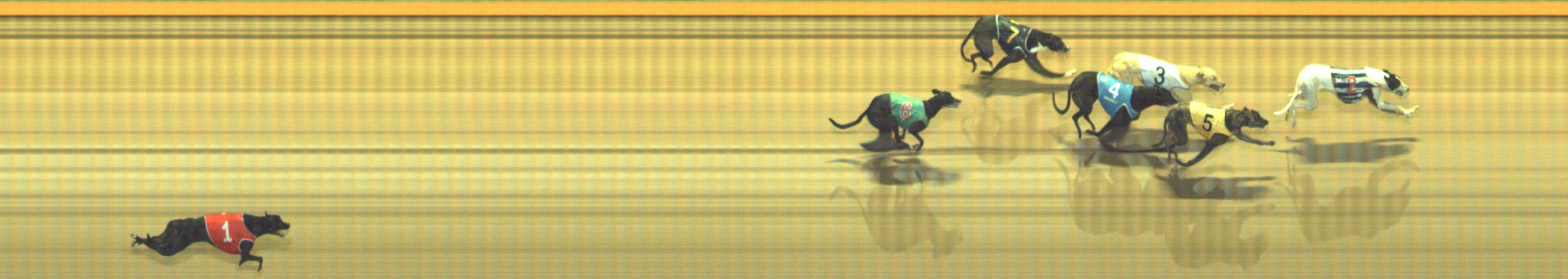 Photo finish for Geelong Race 12